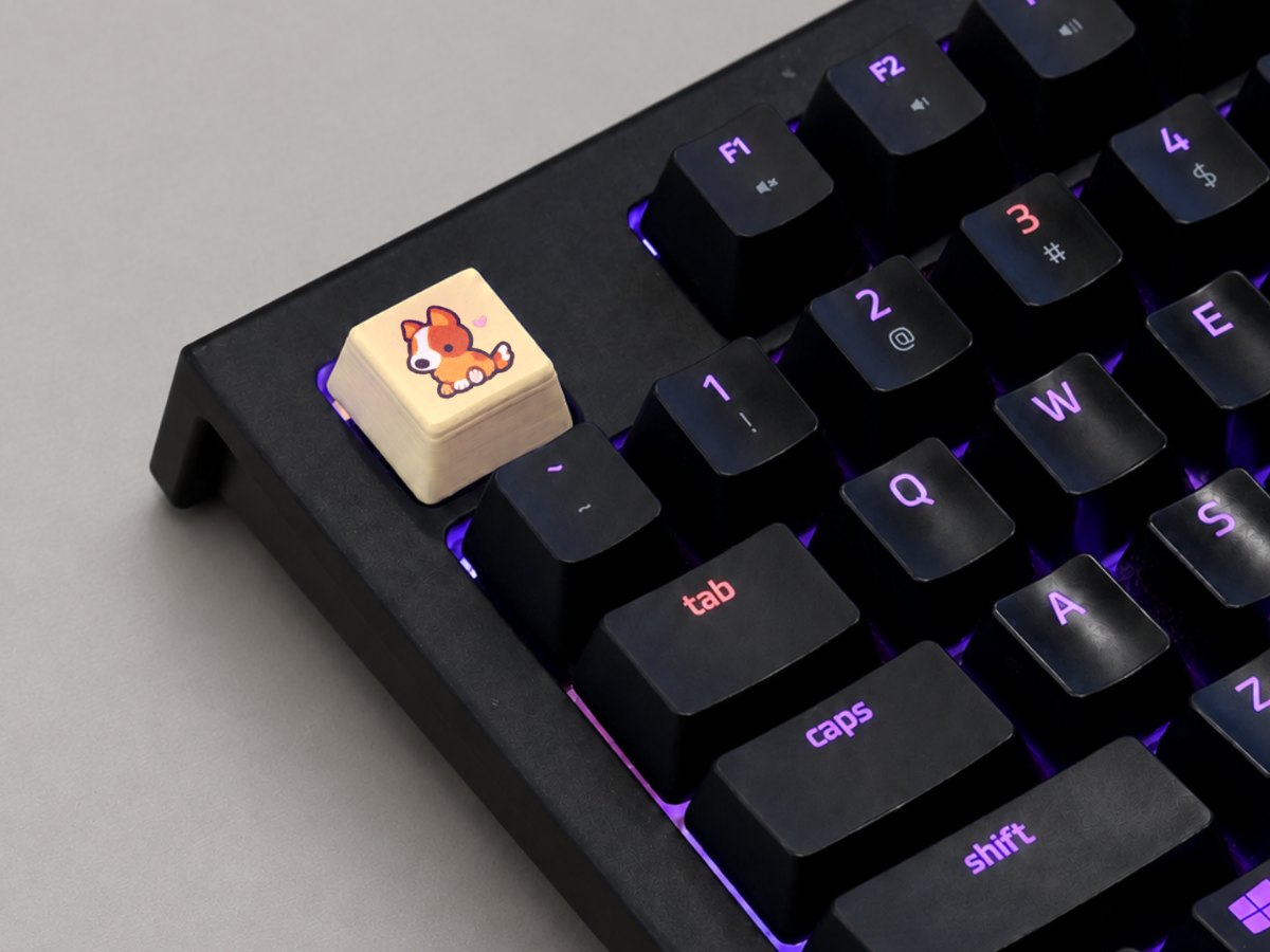 A Keyoocap keycap with a corgi printed on it, on a real keyboard